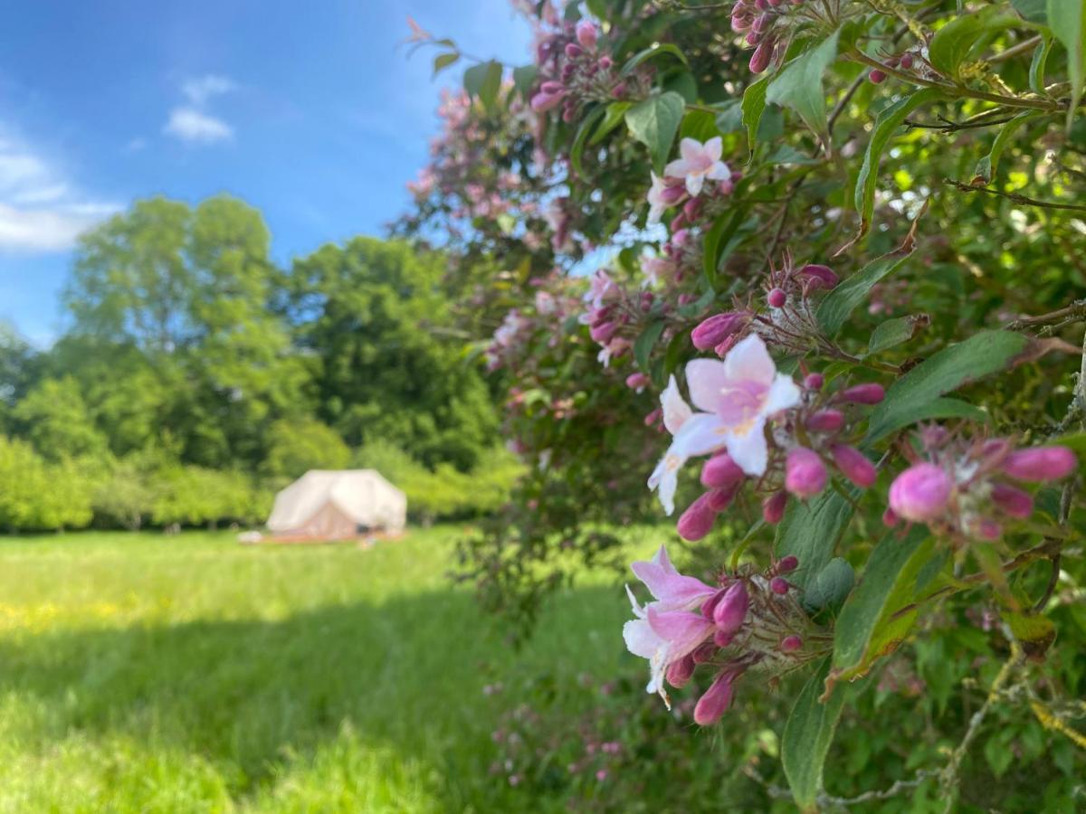 Green Glamping Sonderborg Luaran gambar