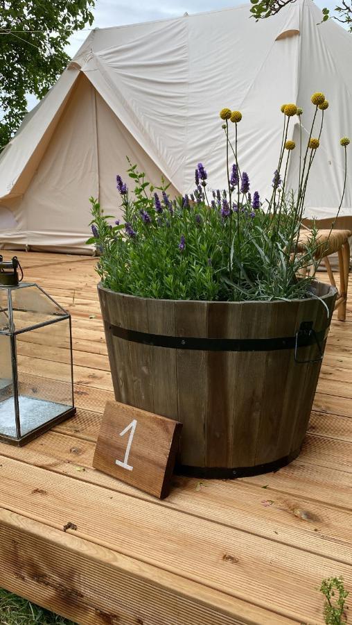 Green Glamping Sonderborg Luaran gambar